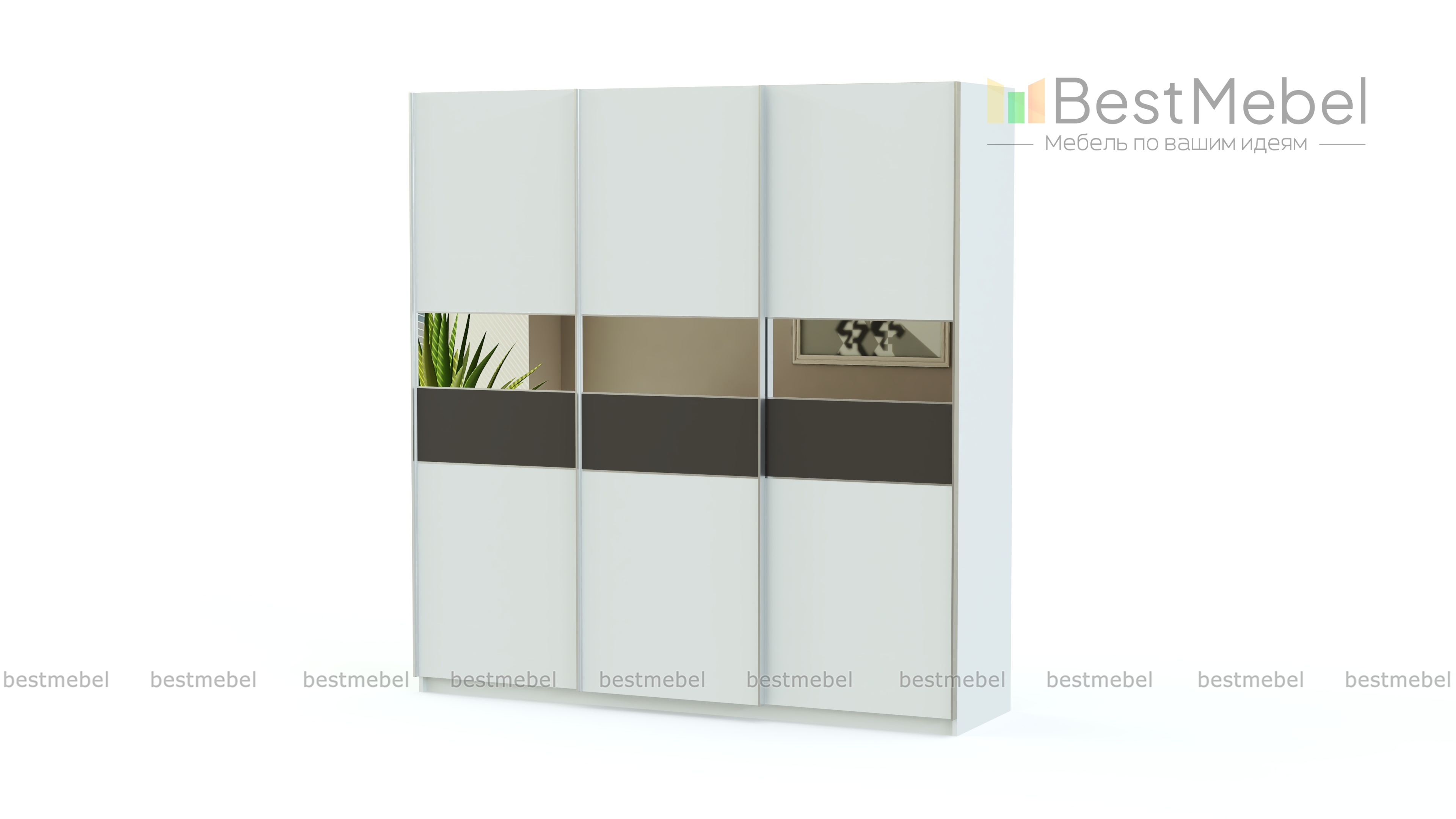 Шкаф-купе Риан 16 BMS