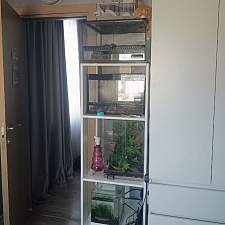 Стойка Лора №5 BMS