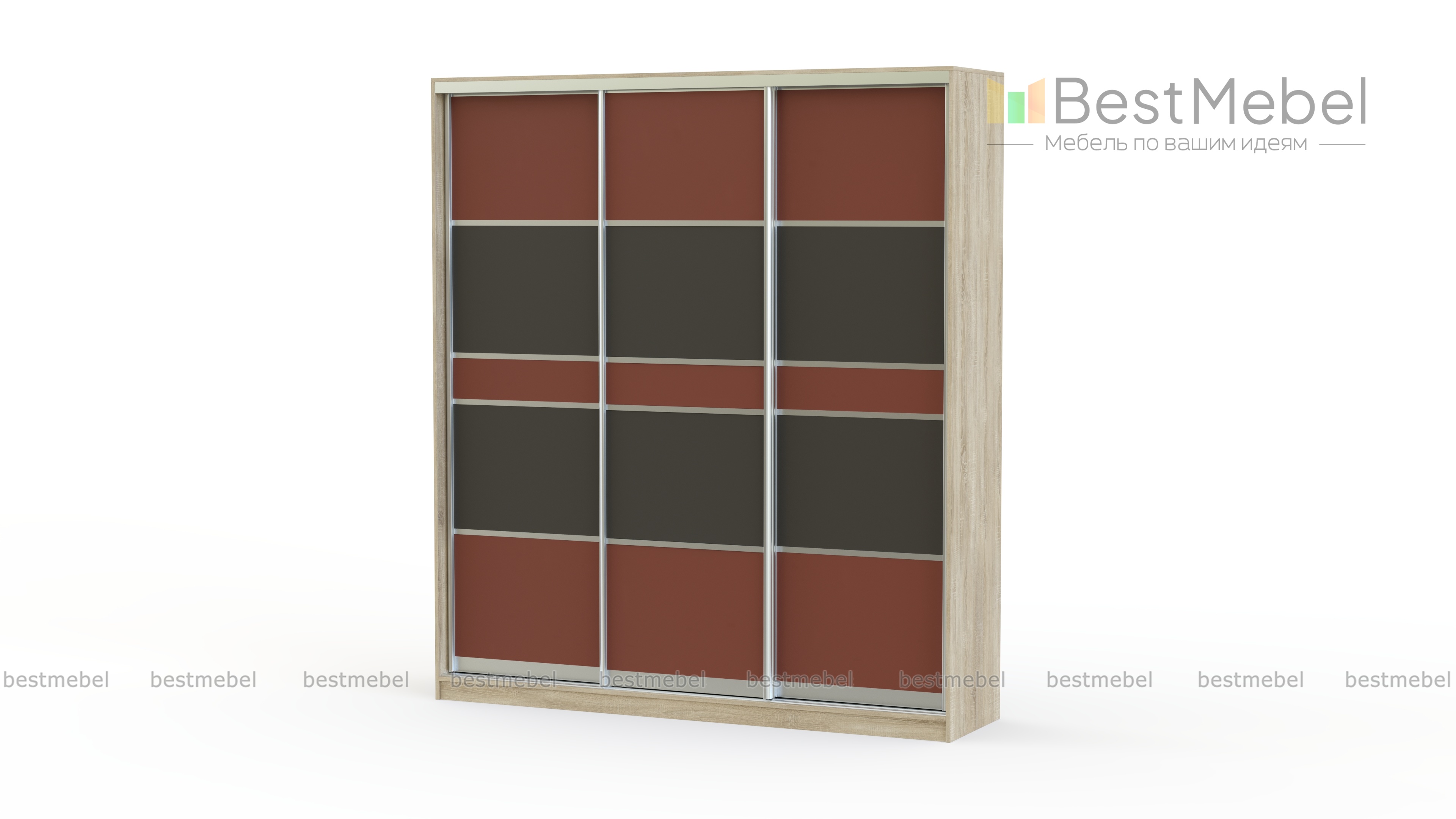 Шкаф-купе Премиум 220В BMS