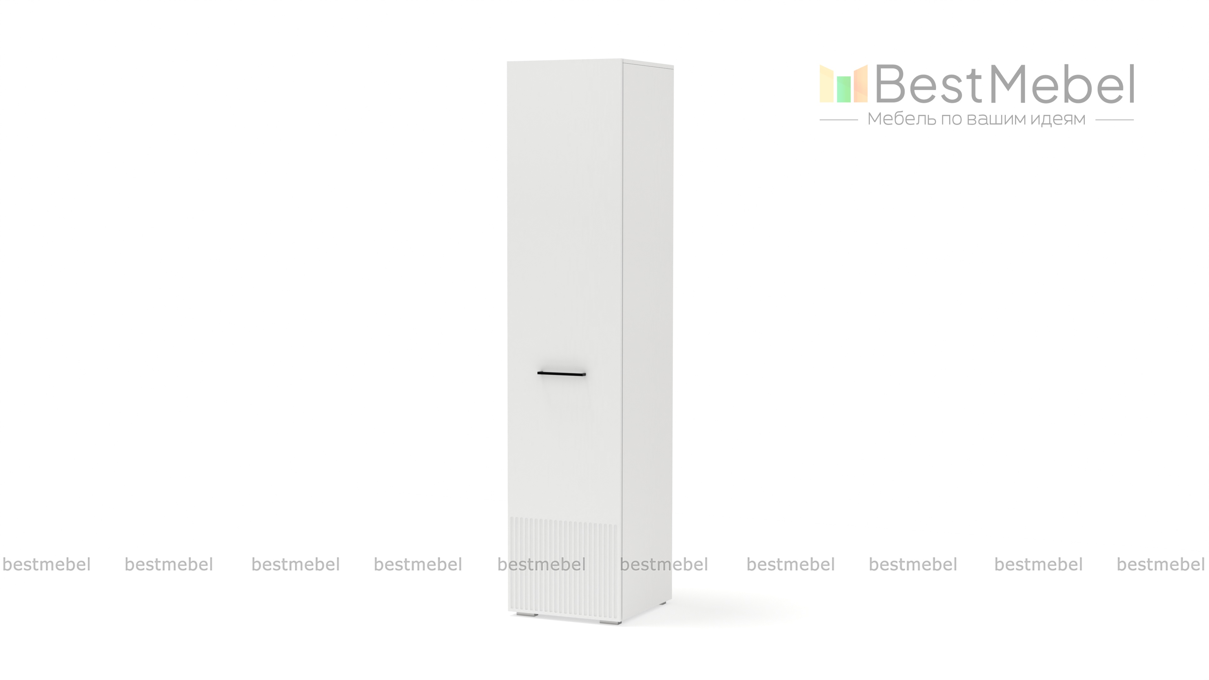 Шкаф распашной Декарт 1 BMS